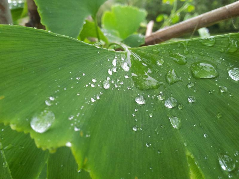 废土拾荒者<br>qyf5seag.cn 垃圾佬的荣耀
